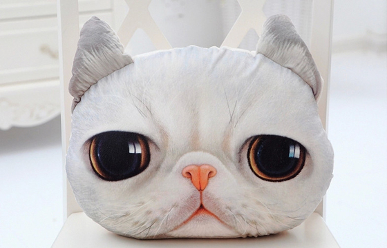 3D 猫の表面ギフトの柔らかさはプラシ天の枕、ソファのための装飾的な枕を詰めました